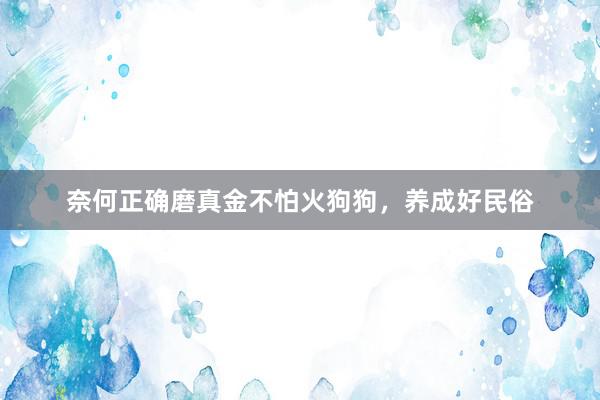奈何正确磨真金不怕火狗狗，养成好民俗